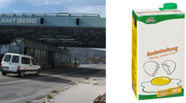 Fipronilové vajcia jedia ľudia celé mesiace 