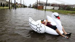 Foto týždňa (36): Blesk nad NY, párty pri rieke, labuť v uliciach