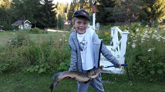 Šťuka, ktorú som chytil, mala 77 centimetrov.