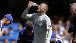 FOTO: Sukničkár Rooney. Túto kočku viezol opitý v aute