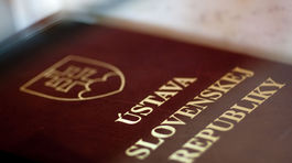 S vlastnou ústavou v ústrety samostatnosti