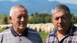  Ovčie mlieko z dovozu: klin sa klinom vyráža