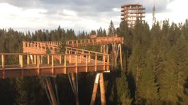 Toto bude adrenalín! V Bachledke otvoria Chodník korunami stromov vo výške 24 metrov