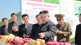 Južná Kórea obnoví humanitárnu pomoc pre KĽDR. Pošle vakcíny a výživu