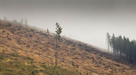 EÚ začala konanie proti Slovensku za nedostatočnú ochranu prírody