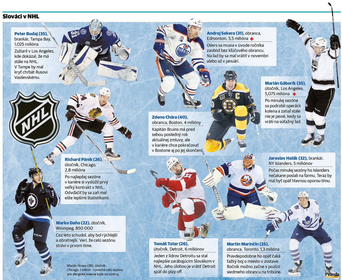 Slováci v NHL.