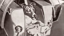 Sputnik, Muttnik a Kaputnik. Horúca jeseň 1957