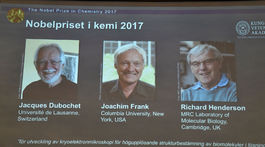 Nobelovu cenu za chémiu získala trojica vedcov za pohľad dovnútra buniek