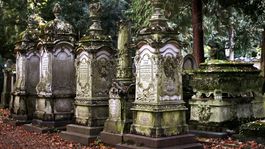 Prekliaty Arthur láka nadšencov do mesta, ktoré celý život nenávidel