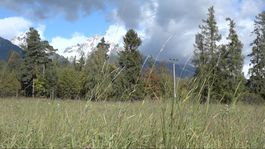 Súdne pojednávanie vo veci Kiskovho pozemku vo Veľkom Slavkove odročili