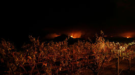 Oheň pustoší Kaliforniu, bojuje s ním 8-tisíc hasičov. Živel má 31 obetí