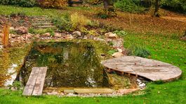 Ako uložiť záhradu na zimný spánok? Tu sú tipy architekta