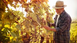 Slovensko starne. Za 10 rokov sa počet penzistov zvýšil o takmer 143-tisíc