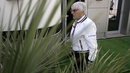 Ecclestone odpisuje sezónu F1. Coulthard oponuje: Už čoskoro sa bude jazdiť