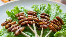 Dali by ste si k obedu chrobáky?