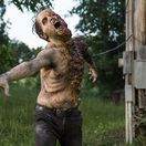 zombie, the walking dead,