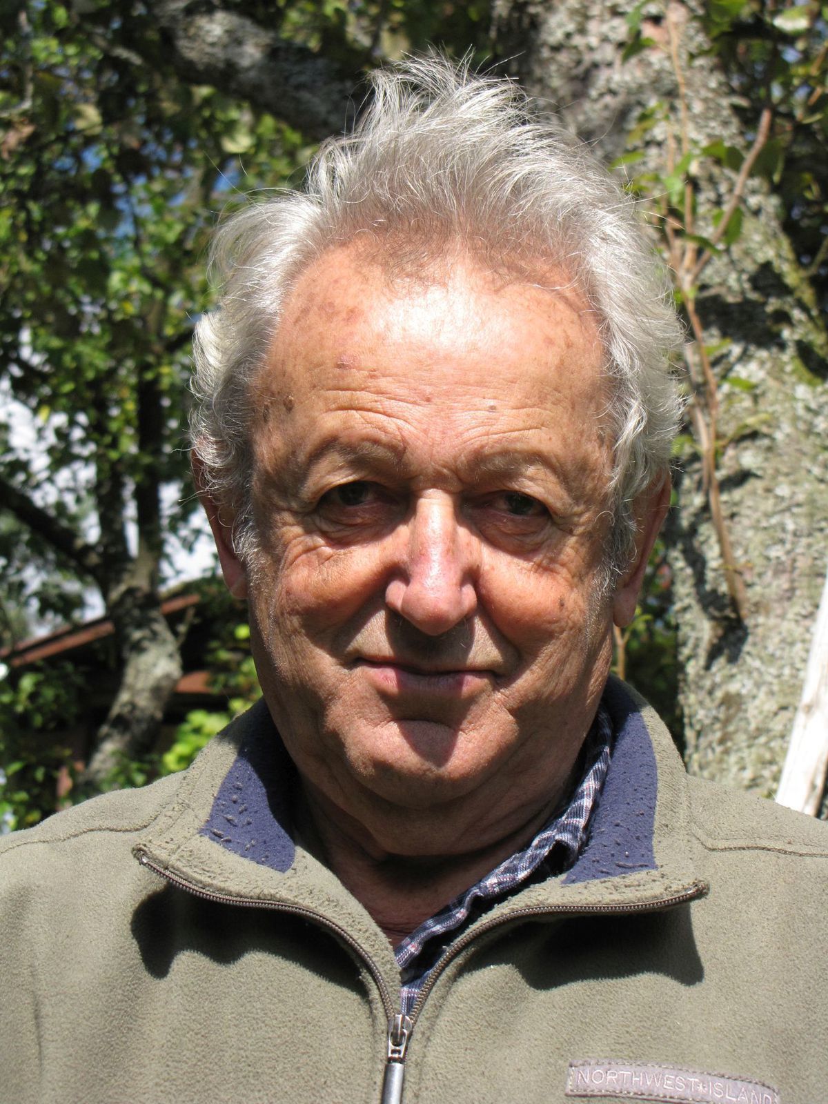 Ladislav Welward