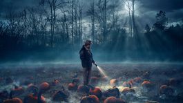 Stranger Things nie je len prvoplánový horor. Aké zaujímavosti skrýva?