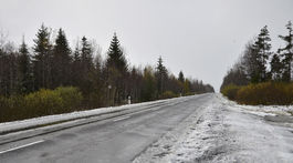 Cesty okolo Popradu sú zjazdné, hasiči po kalamite zasahovali na rôznych miestach Slovenska