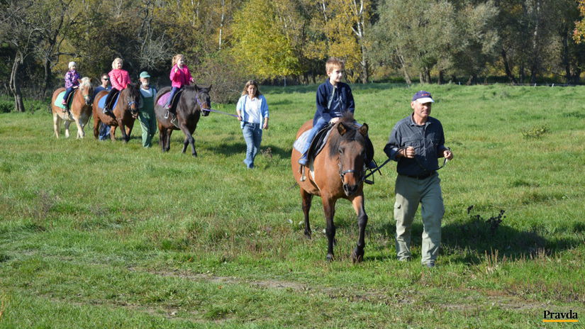 Žitný ostrov sa môže stať súčasťou...