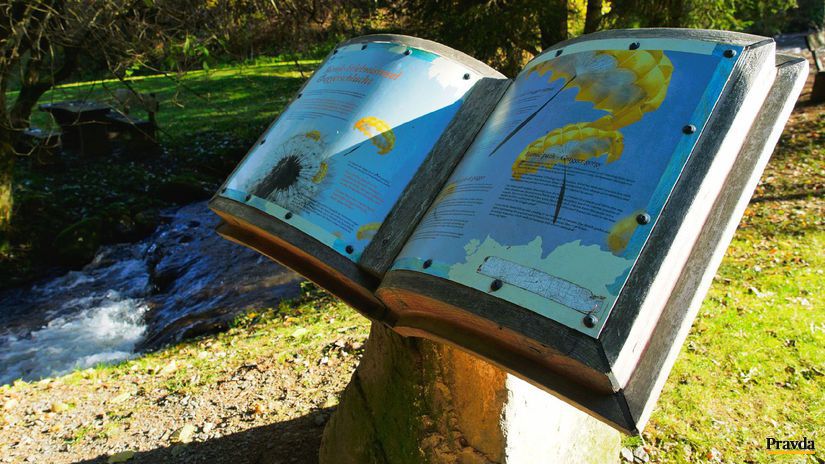 Čítanie z veľkej knihy prírody.