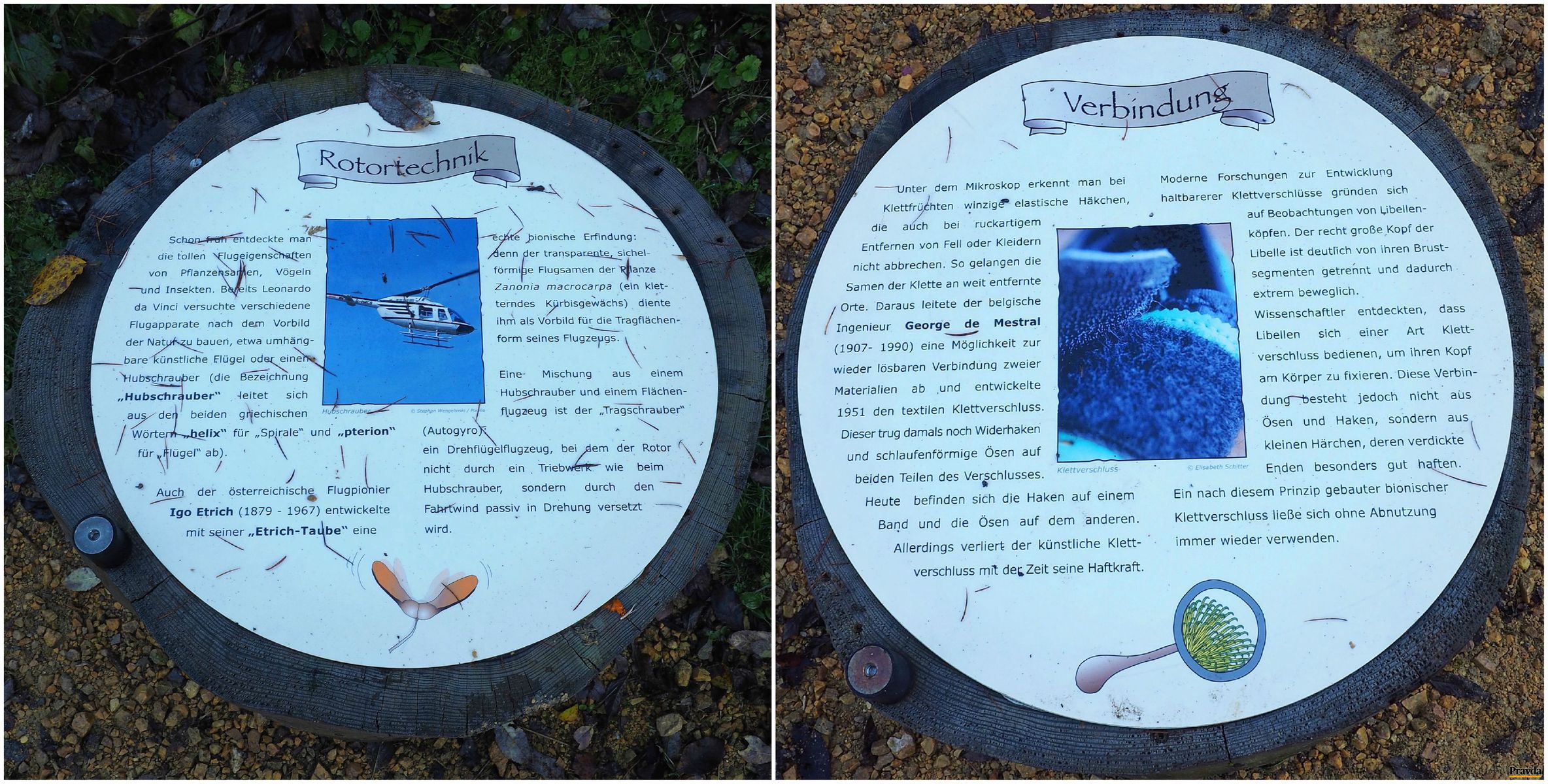 Dômyselnosťou rastlín sa inšpirovali aj...