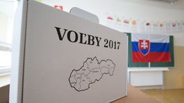  Analytici komentujú výsledky volieb: Zobudili sme sa do dobrého rána
