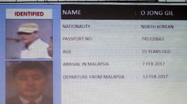 Štyria muži vinní z vraždy Kimovho brata sú Severokórejčania