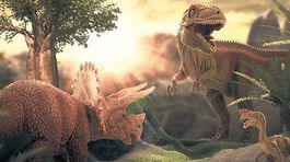 Dinosaury sa k sebe rady túlili, zistili vedci