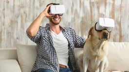 Riziko ochorenia srdca je u majiteľov psov nižšie