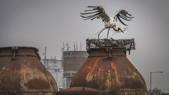 V KOVOZOO ostávajú bociany po celý rok.