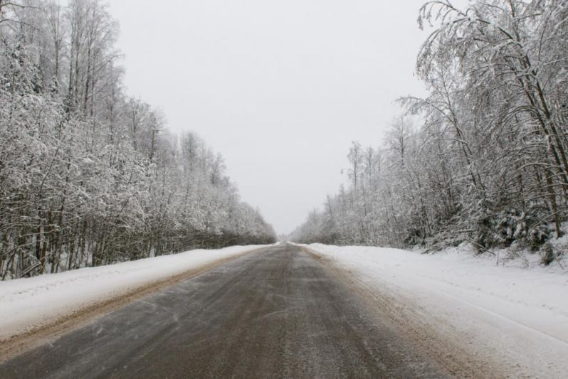 Cesta M56 - Sibir