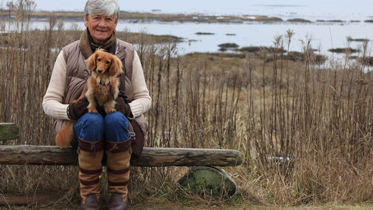 dôchodca, dôchodok, penzia, pes