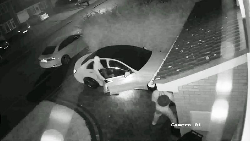 V Nemecku skončilo v rukách dlhoprstých vlani...