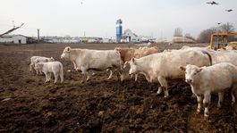 Farmári: Chceme vyrábať, nie zatvárať