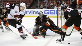 Detva ulovila veľkú rybu. Pod Poľanu príde brankár so skúsenosťami z NHL!