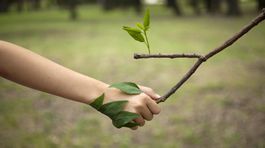 Povedomie o ekológii treba zvyšovať už u detí