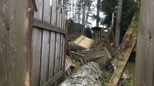 Terchová po veternej smršti.