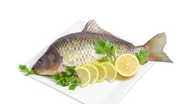 Vedeli ste, čím sa pýši kapor?