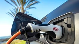 Kia Niro Plug-In Hybrid - 2017
