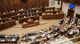 Interrupčná legislatíva sa nesprísni, poslanci nepodporili návrh zákona