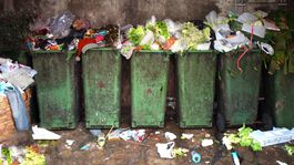 Čo s vianočným odpadom? Kam patria stromčeky, gule či celofán?