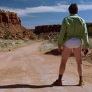 breaking bad, perníkový tatko, walter,