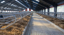 Agrošmejdi na slovenských družstvách