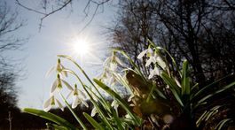 Teplota na viacerých miestach prekročila 20 stupňov
