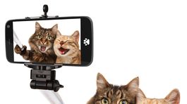 Dokonalí ako obrázok alebo trpíte selfitídou?