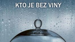 Liane Moriartyová - Kto je bez viny. Výčitky svedomia vás dobehnú!