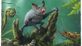 Praveký netopier bol dobrý bežec i letec