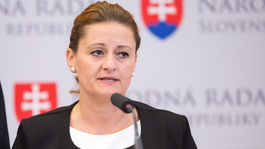 Liberáli po lete predložia návrh zákona pre partnerov rovnakého pohlavia