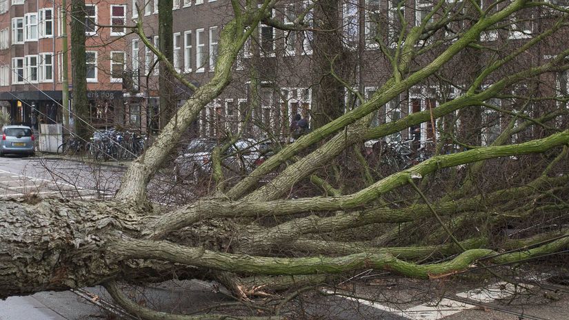 Holandsko Amsterdam počasie búrky vietor